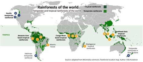 Rainforests Map