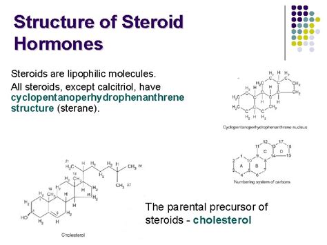 Steroid Hormones Chemical Classification of Hormones are chemical