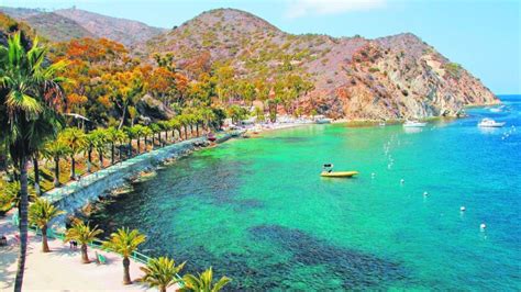 Stay more than a day to get the most of Catalina Island - The San Diego Union-Tribune