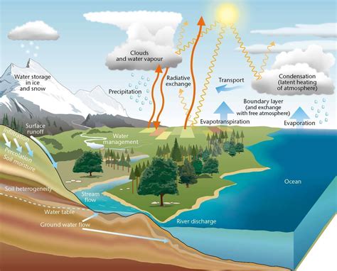 The Water Cycle Definition! Easy Science Lesson for Kids