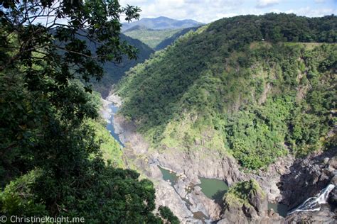 A Journey Above The Trees With Kuranda Skyrail Rainforest Cableway ...