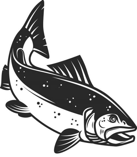 Top 60 Spawning Salmon Clip Art, Vector Graphics and Illustrations - iStock