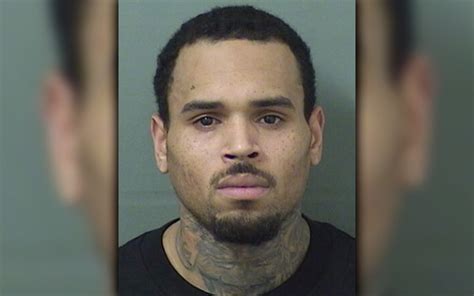 Mugshot Madness: Chris Brown Arrested for Felony Battery Warrant After Concert in Florida