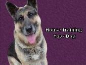 German Shepherd Training Made Easy