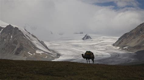 Altai mountains Mongolia : r/mountains