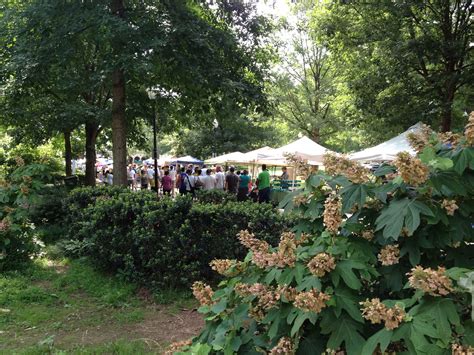 Piedmont Park Farmers Market | Piedmont park, Atlanta neighborhoods, Things to do