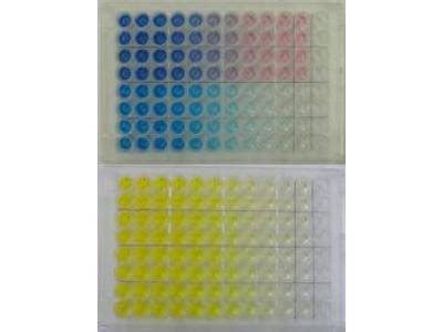 TMB Prestained Red ELISA Peroxidase Substrate (TMBE-RED-0100) | Rockland