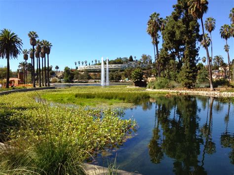 Spending the Day at Echo Park Lake - LA Explorer