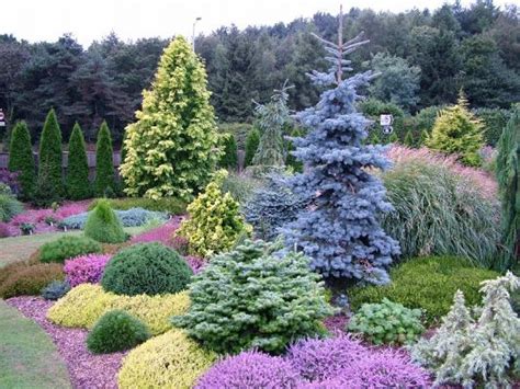 684 best images about Landscape Shrubs & Trees on Pinterest | Trees ...