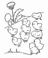 Chicken coloring Pages To Download And Print For Free sketch template
