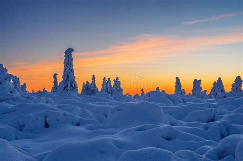 Golden Hour from Vidlica Peak in Mala Fatra during Winter Stock Photo - Image of snow, pines ...