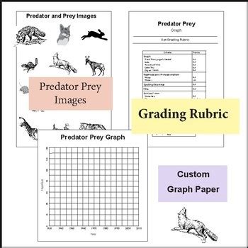 Predator Prey Relationship and Graph by Dr Dave's Science | TpT