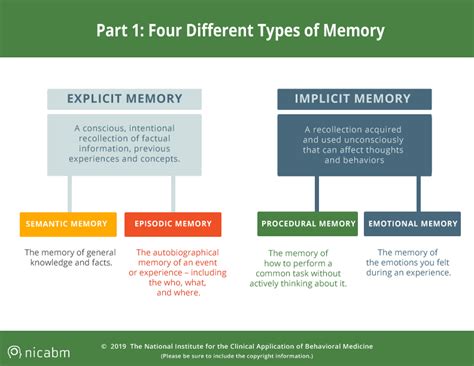 Understanding Trauma’s Impact on Four Types of Memory [Infographic]