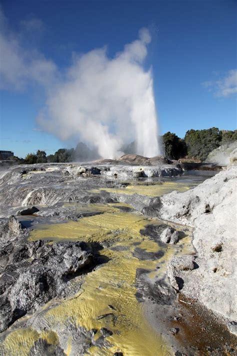 Rotorua Geysers - New Zealand Stock Image - Image of famous, geology ...