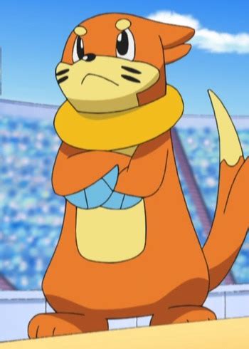 Buizel | Anime-Planet