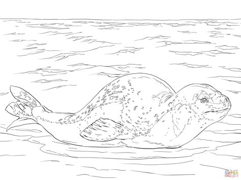 Leopard Seal coloring page | Free Printable Coloring Pages