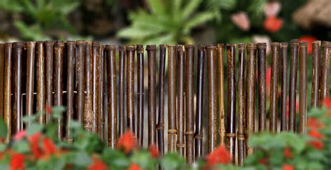 Bamboo Fence Natural Black 1" x 3' x 8' – Sunset Bamboo