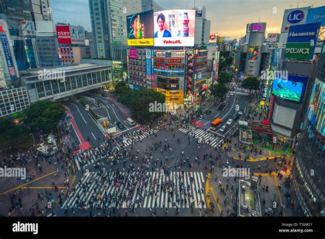 Tokyo, Japan - June 12, 2019: Shibuya Crossing, a world famous and iconic intersection in ...