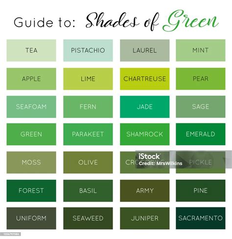 Guide To Shades Of Green Vector Stock Illustration - Download Image Now ...