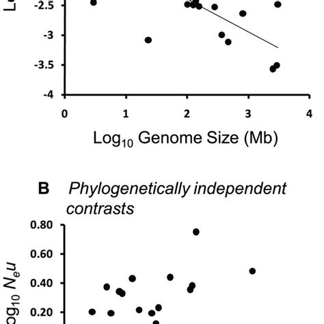 Relationship between Neu and genome size across 22 eukaryotic and 7 ...