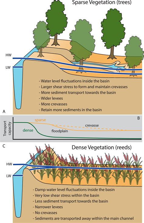 Natural Levee Diagram