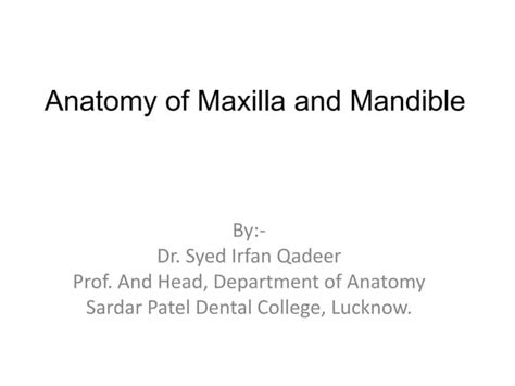 Anatomy of maxilla and mandible | PPT