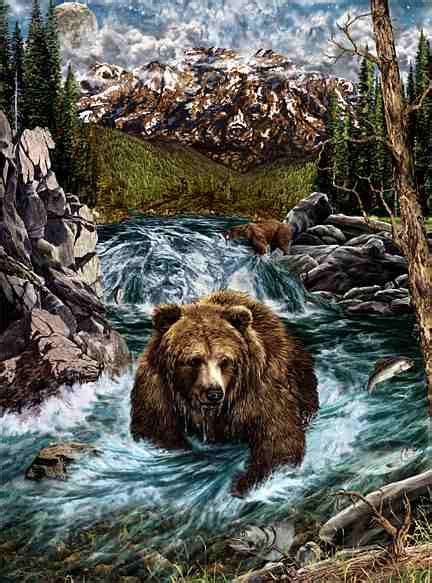 Hidden 14 bear images by Stephen Michael Gardner will expand your mind and balance your brain ...