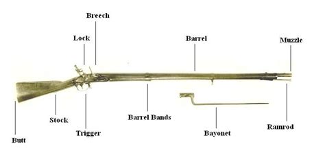 Diagram showing the parts of an 18th-century musket. Union Soldiers ...