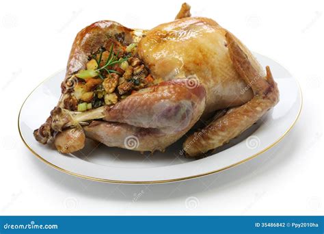 Roast turkey with stuffing stock photo. Image of cooked - 35486842