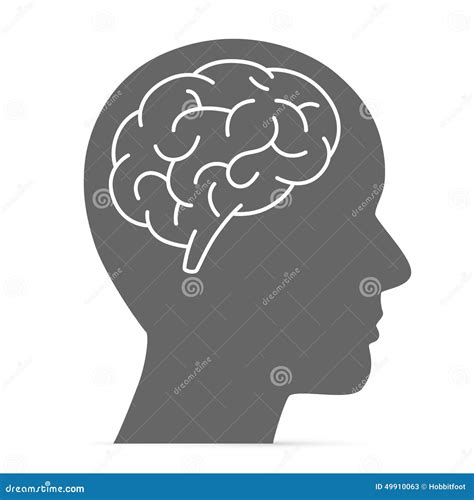 Silhouette Head With The Brain Stock Vector - Image: 49910063