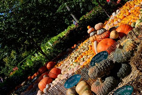 Dallas Arboretum Fall Festival Pictures - Clumsy Crafter