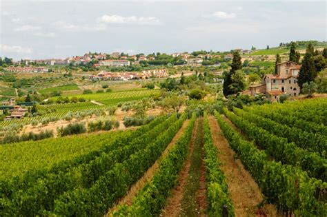 Vineyards in Tuscany stock image. Image of winery, italy - 33327711