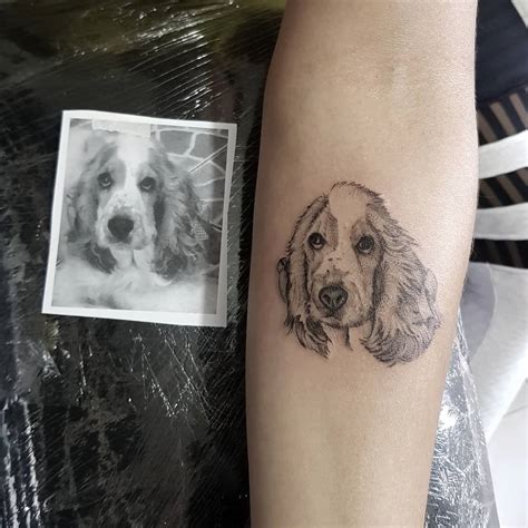 English Springer Spaniel Dog Portrait Tattoo by Saulo Borges