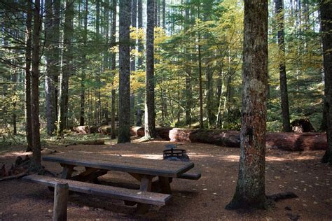 Lower Falls Campground, Stevenson, Washington | REI Camping Project