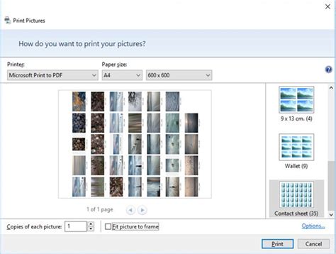 How to Make a Contact Sheet - Photoshop and Windows - 2024 ...