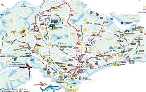 Singapore roads map map - Map of Singapore roads map (Singapore)