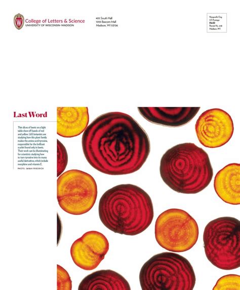 Letters & Science Magazine - Landesberg Design