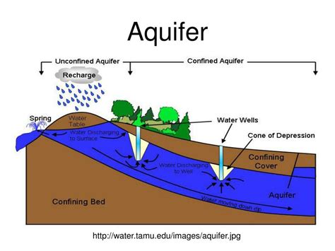 Water Table Aquifer Diagram