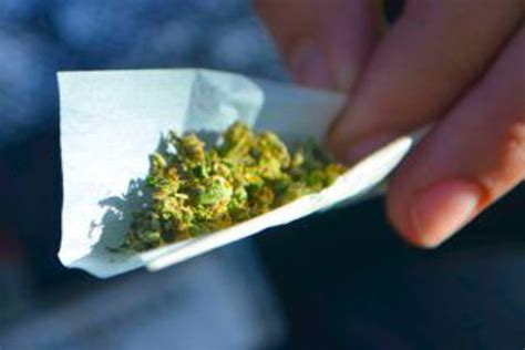 Aussies Could Smoke Weed At Amsterdam-Style Coffee Shops Under New Greens Bill