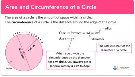 Area And Circumference Of A Circle - GCSE Maths Guide