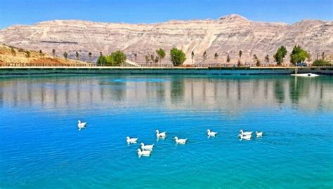 Lake Activities: Boats & Pedalos - Zaarour Club