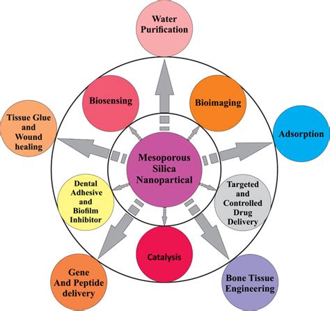 State of the Art Review on Emerging Applications of Mesoporous Silica