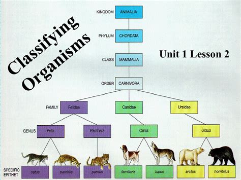 Unit 1 Lesson 2