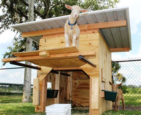 My Project: Barn plans for goats