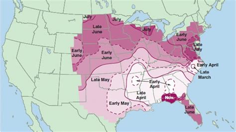 A Map Showing Which Time Of Year You're Most At Risk Of A Tornado