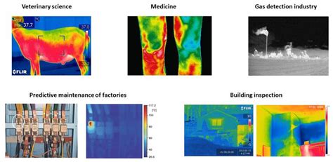 4. Different applications of infrared thermography. Figures were... | Download Scientific Diagram