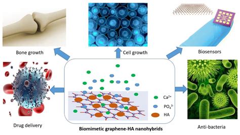 Nanomaterials | Free Full-Text | Biomimetic Hydroxyapatite on Graphene Supports for Biomedical ...