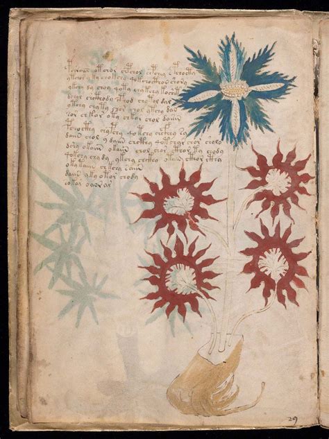 Voynich manuscript | Medieval Ciphertext, Illuminated Texts ...