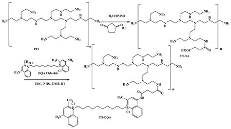 Scheme illustrating the synthesis of the polymer PEI-DQA. RT: room... | Download Scientific Diagram