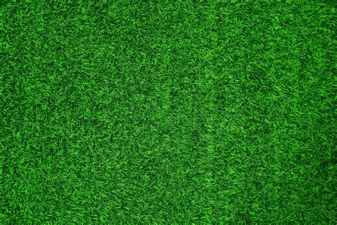 Green grass texture background grass garden concept used for making ...